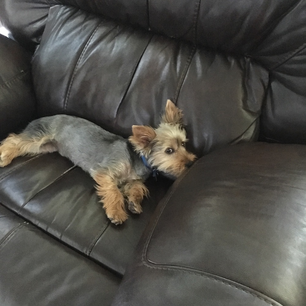 My priceless babies! - Picture 2 of 4
